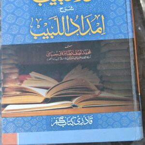 نور الحبیب شرح امداد اللبیب